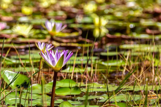 和值与跨度趋势